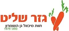 גזר שליט